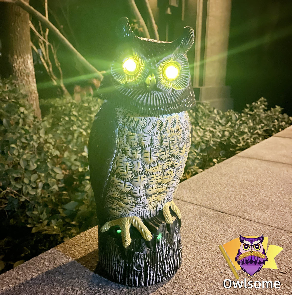 Motion-activated lighting detects activity up to 20 feet.