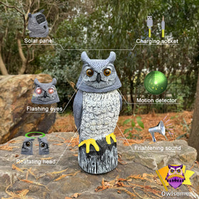 Owlsome Solar Owl silent mode mutes sounds while keeping lights on.