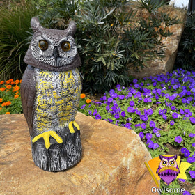 Owlsome Solar Owl in silent mode keeps glow and motion without sound.