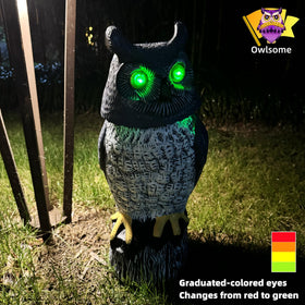 Owlsome Solar Owl waterproof design withstands rain and sun.