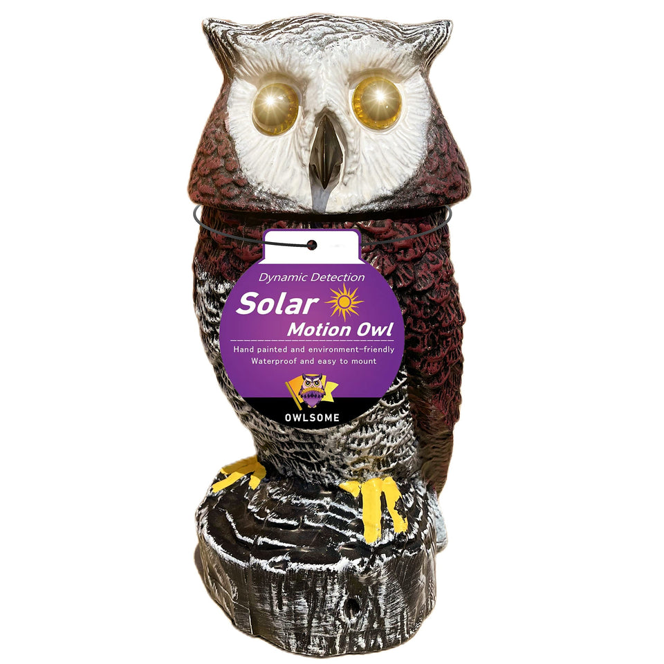Owlsome solar red owl in garden enhances curb appeal after sunset.