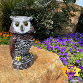Owlsome solar red owl silent mode keeps a quiet display.