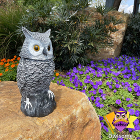 Owlsome silent mode lets you enjoy peace with still garden decor