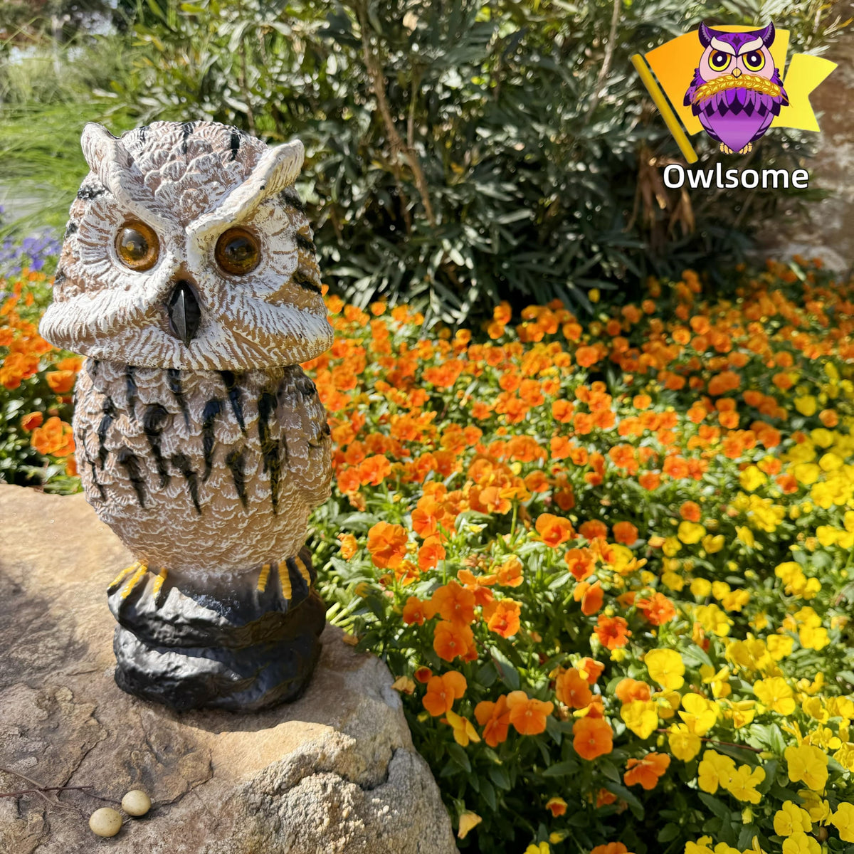 Silent mode keeps evenings peaceful while keeping the display active.
