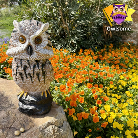 Silent mode keeps evenings peaceful while keeping the display active.