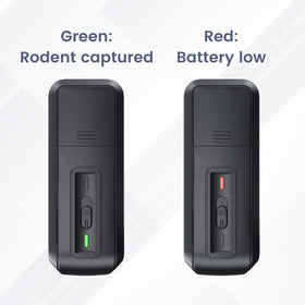 Battery compartment image highlights four AA power for extended use