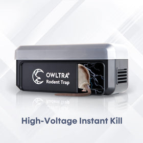 USB power connection ready with 5V adapter or power bank