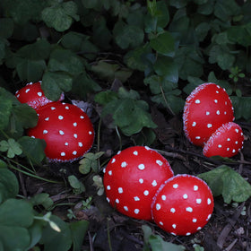 OwMell glow mushrooms in varied sizes showing decorative variety for fairy gardens.