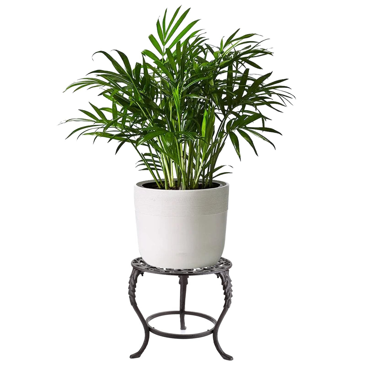OwnMy plant stand side profile highlights durable legs and stable footprint.