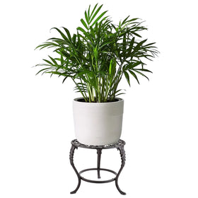 OwnMy plant stand side profile highlights durable legs and stable footprint.