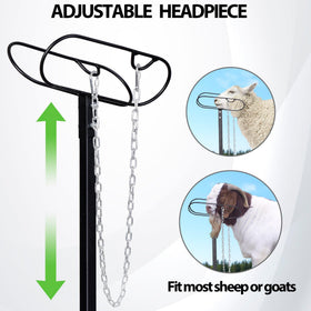 Oxphanor stand easy to move between pens for flexible workflow.