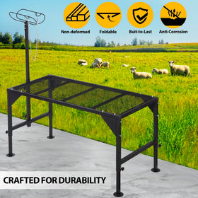 Oxphanor loading platform supports up to 330 lbs for larger livestock.