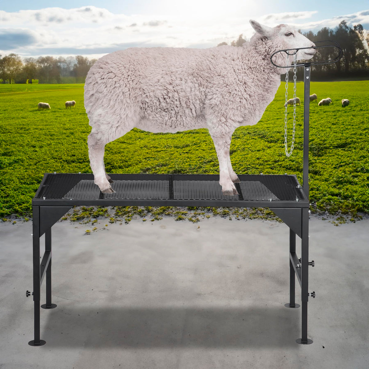 Oxphanor rust-resistant finish protects the frame during farm use.