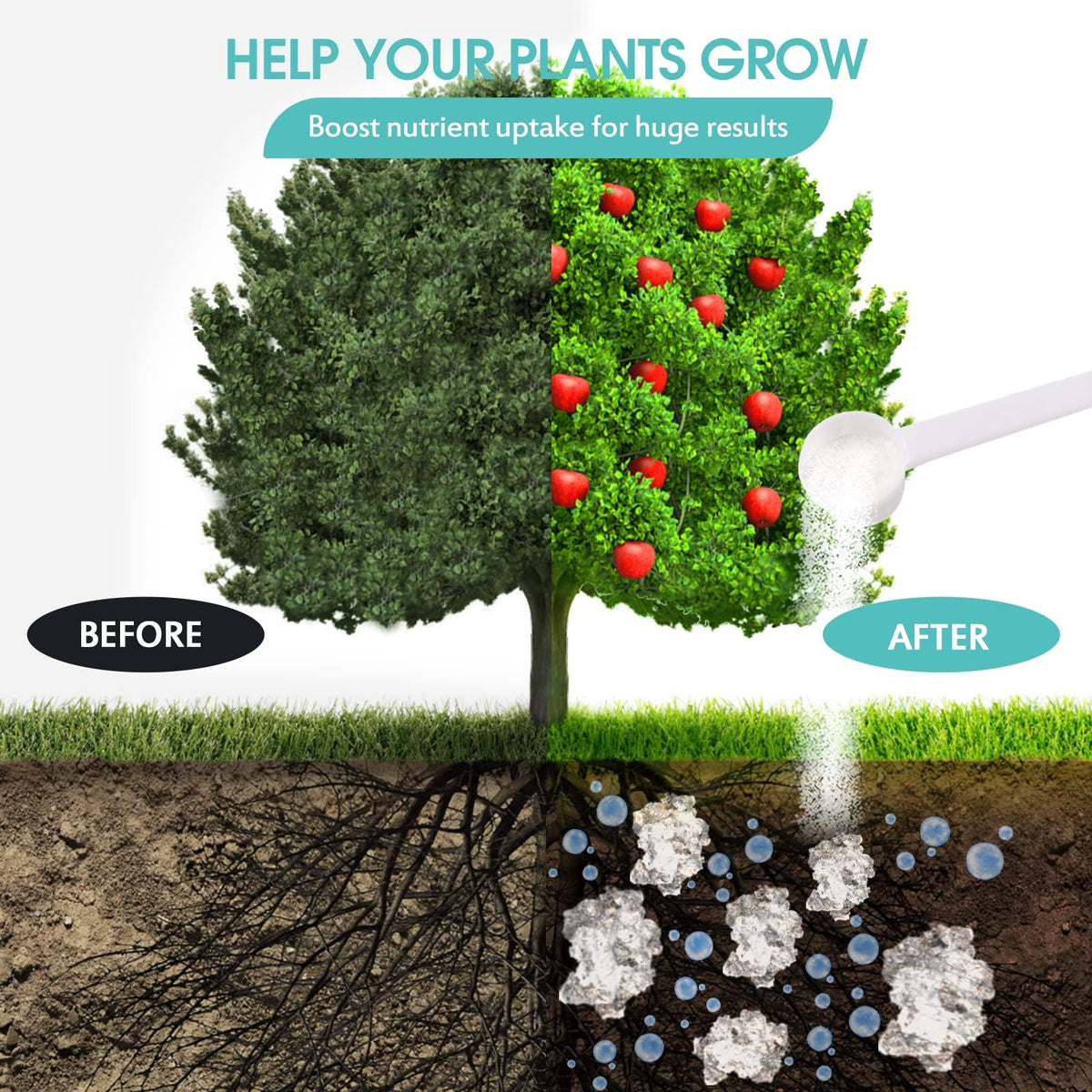 Oycevila crystals expanding and releasing water to aerate soil and support roots.