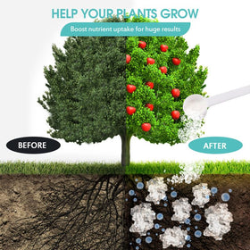 Crystals in soil absorb water, helping maintain consistent moisture