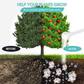 Oycevila drought-relief solution reduces frequent watering needs