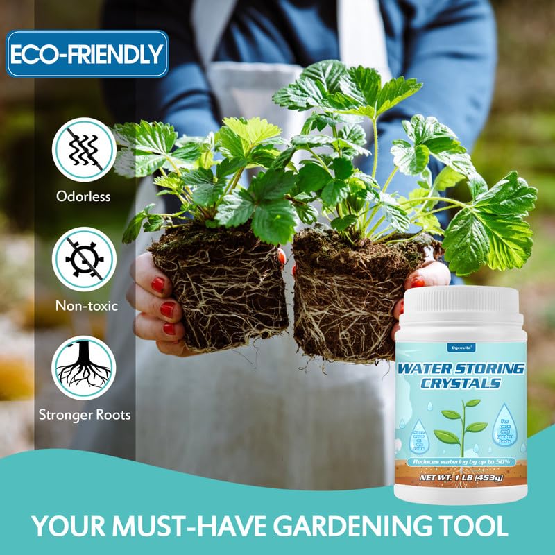Healthy houseplant thriving as soil stays evenly moist