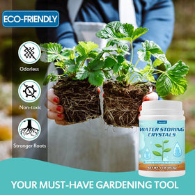 Healthy houseplant thriving as soil stays evenly moist