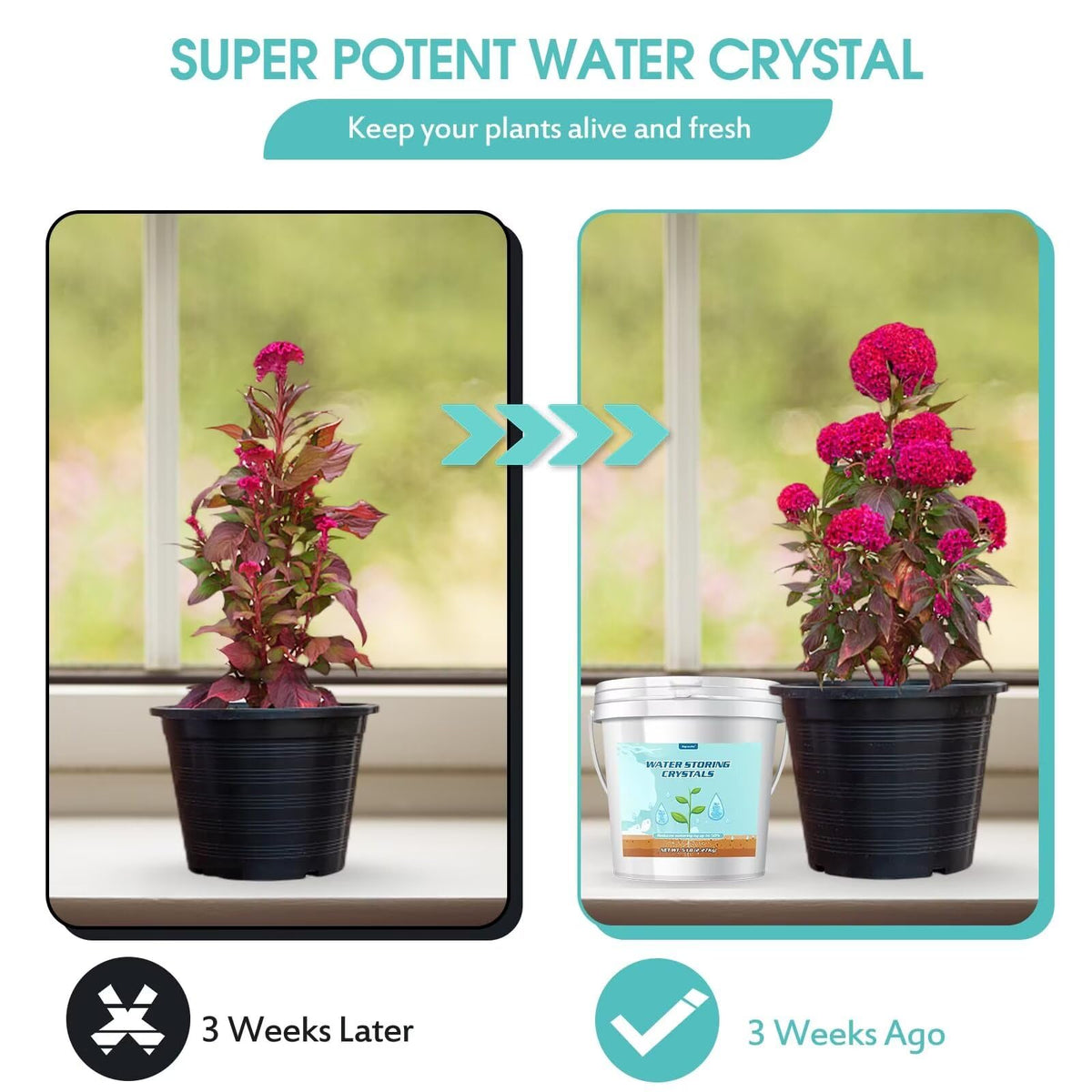 Oycevila measuring spoon included for precise dosing