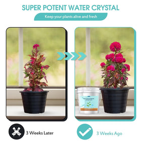 Oycevila measuring spoon included for precise dosing