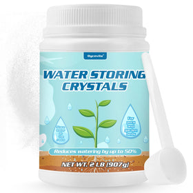 A thriving plant in a pot using Oycevila crystals to manage moisture.