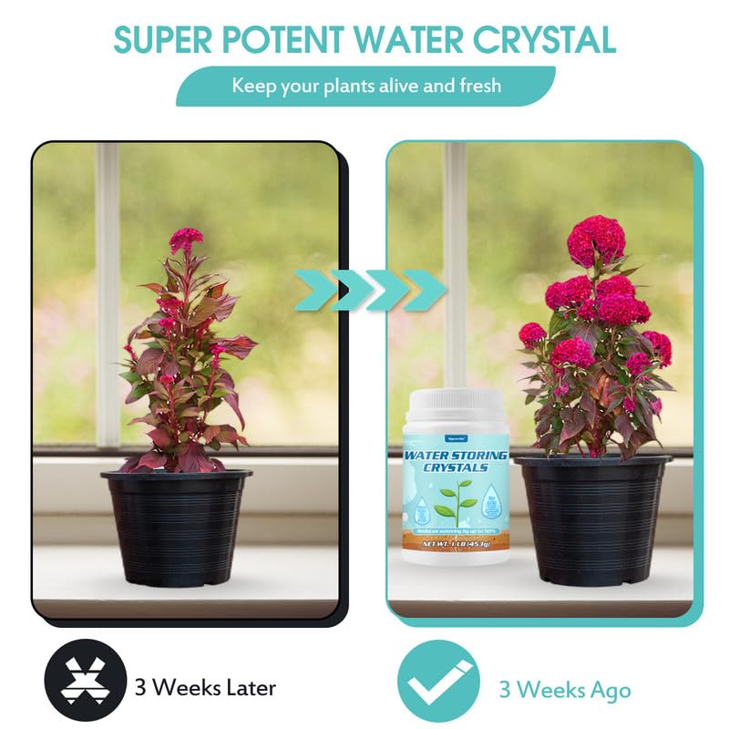 Oycevila spoon included for precise measurement of crystals