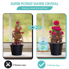 Oycevila spoon included for precise measurement of crystals