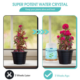 Oycevila water crystals spoon measure for precise dosing in plant care.