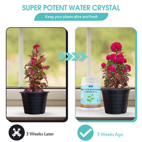 Oycevila water crystals poured from spoon into pot soil for hydration