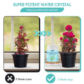 Oycevila crystals with spoon demonstrating easy measuring and precise watering.