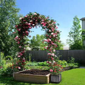 OYEAL climbing plants support for roses, grapes, and vines