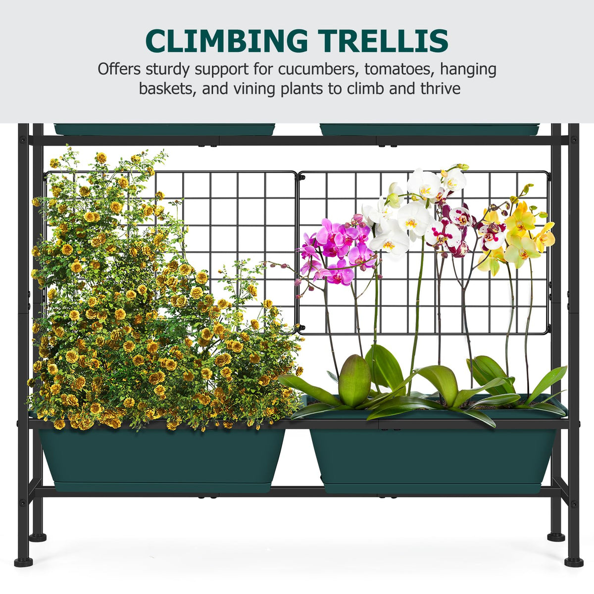 OYEAL indoor balcony planter keeps herbs near eye level for easy harvest.