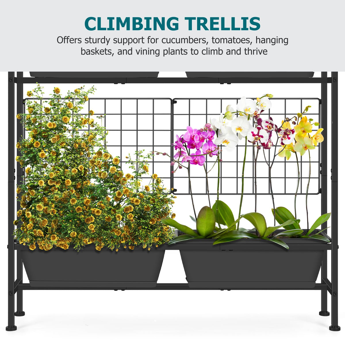OYEAL removable drainage tray helps prevent mess and overwatering.