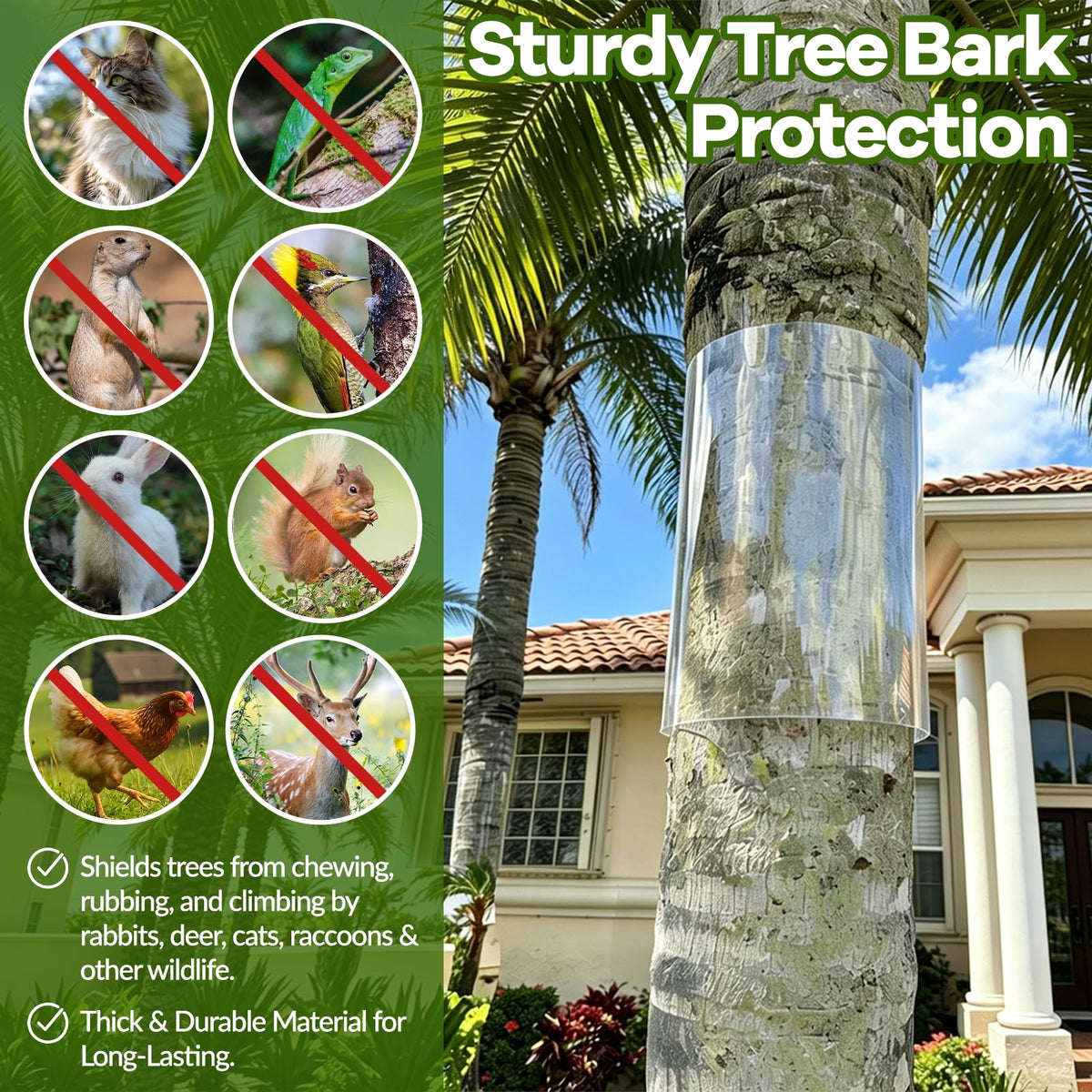 oyhqes Iguana Tree Wrap thick PET film close-up highlights durable bark protection.
