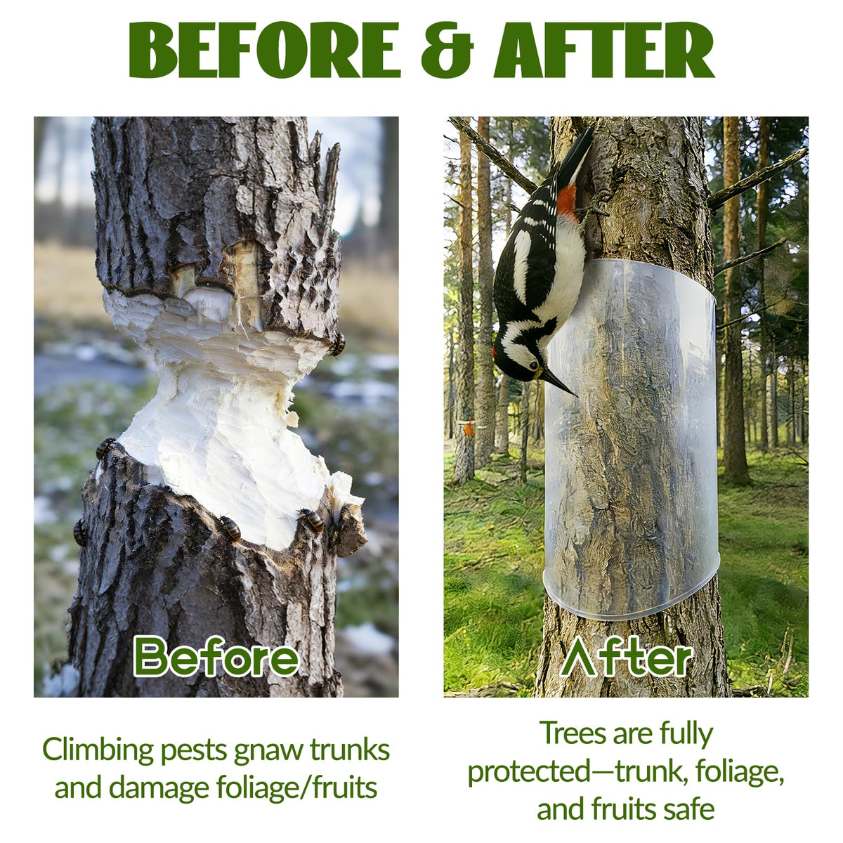 oyhqes Iguana Tree Wrap weatherproof durability in damp outdoor conditions.