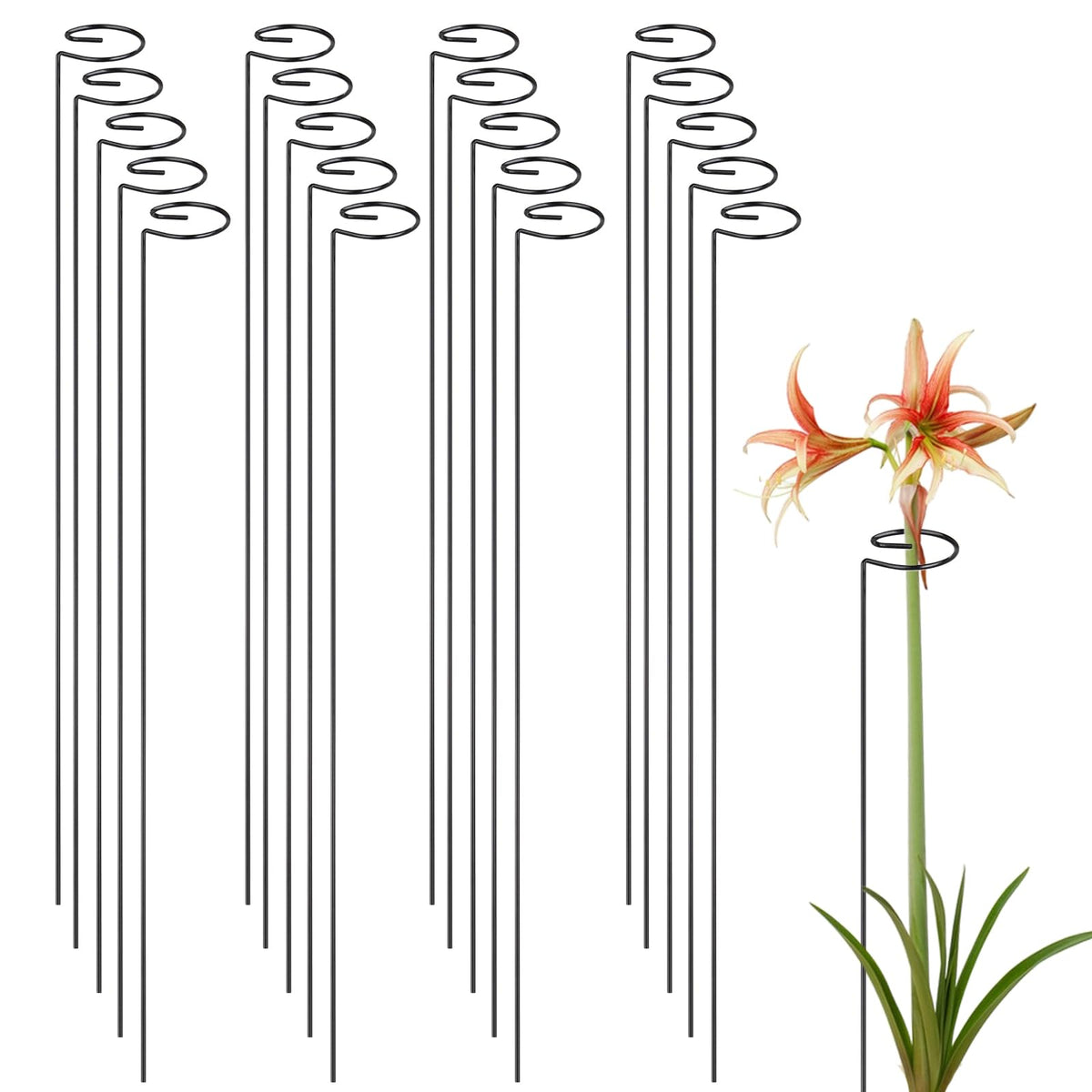 OYOEETD 24-inch plant stake keeps stems upright for flowers.
