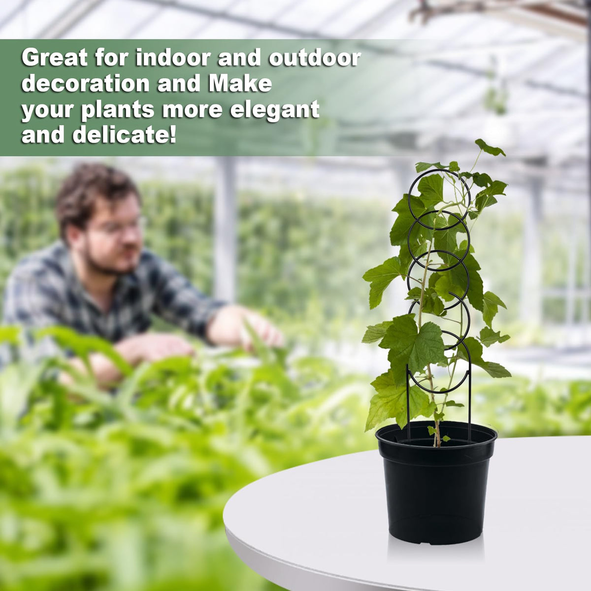 OYOEETD durable metal plant support stabilizes growing vines.