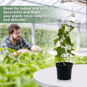 OYOEETD durable metal plant support stabilizes growing vines.