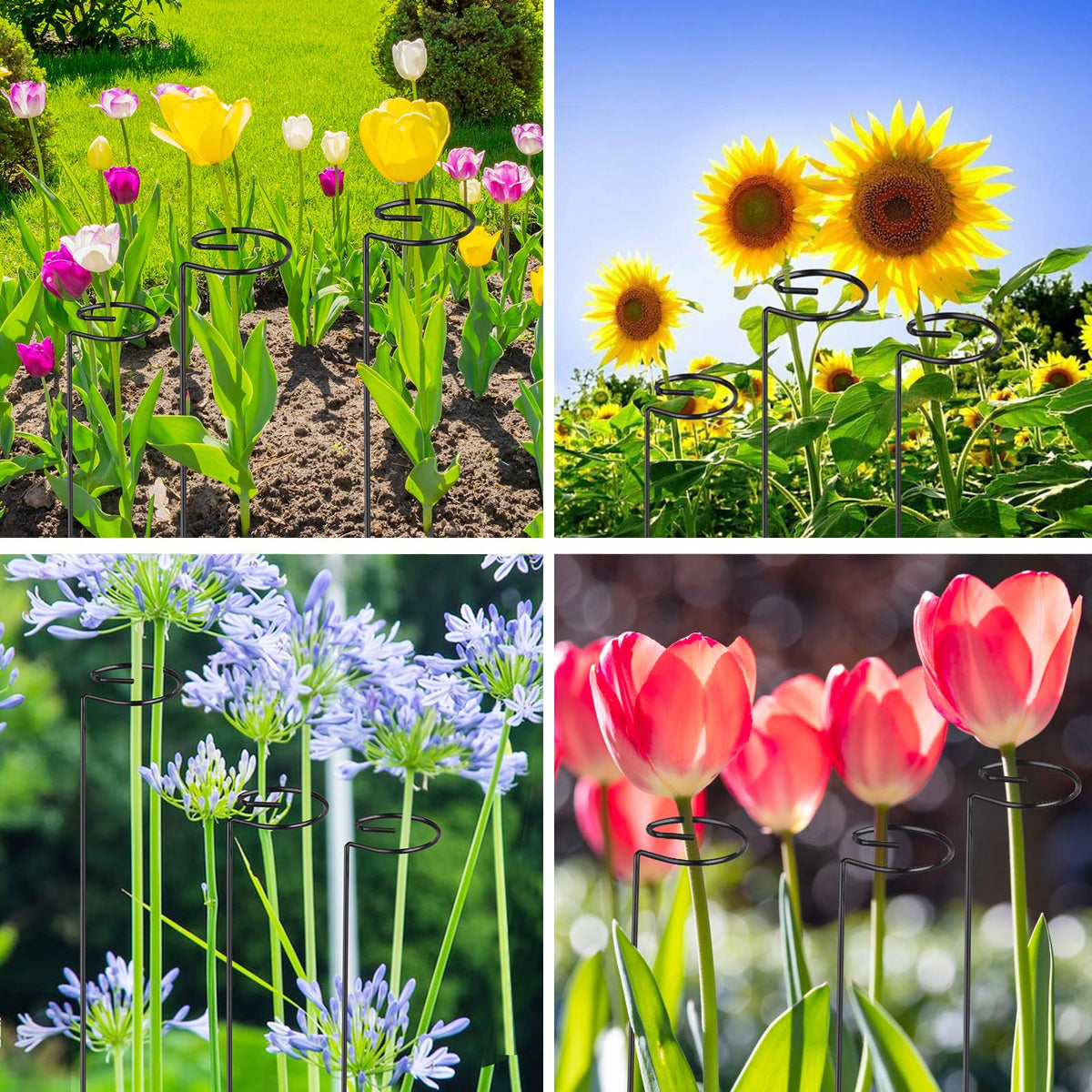 OYOEETD flower stake supports orchids and roses for steadier blooms.