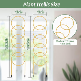 OYOEETD golden metal trellis for climbing plants guides tendrils elegantly.