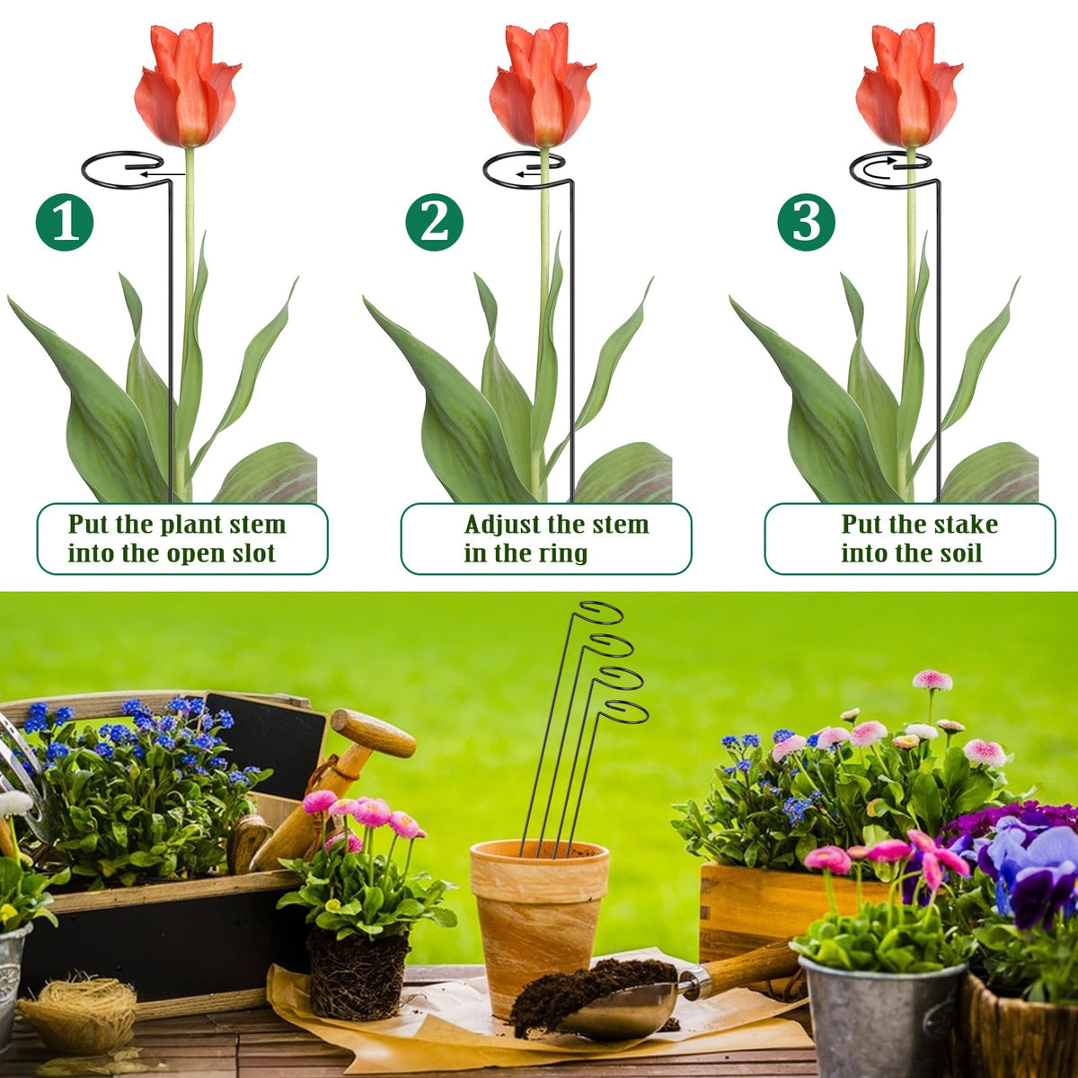 OYOEETD integrated design allows direct placement for orchids and peonies.