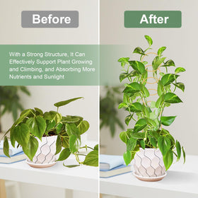 OYOEETD indoor plant stakes offer sturdy vertical growth and stability.