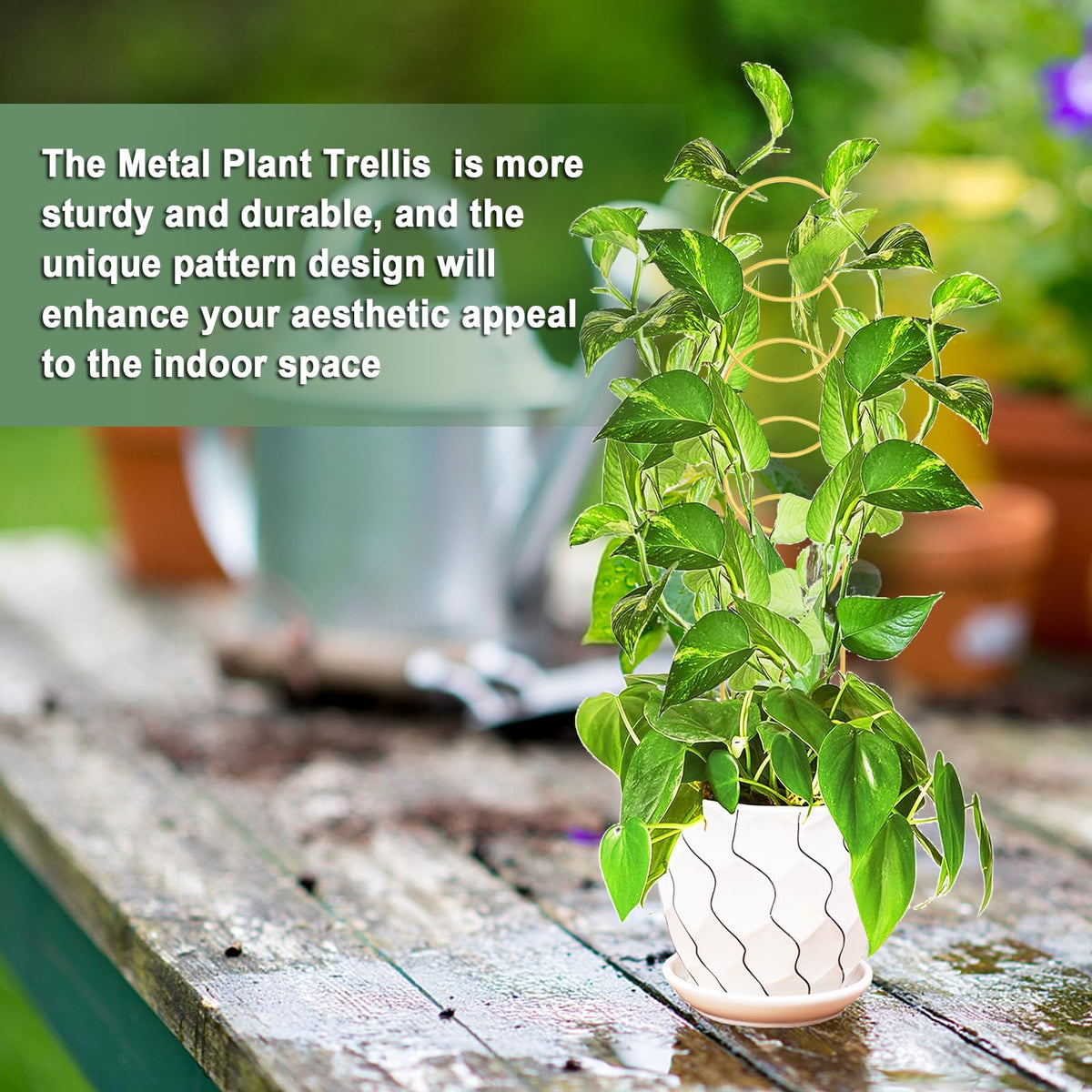 OYOEETD plant-support-climbing-plants helps guide climbing greenery in pots.