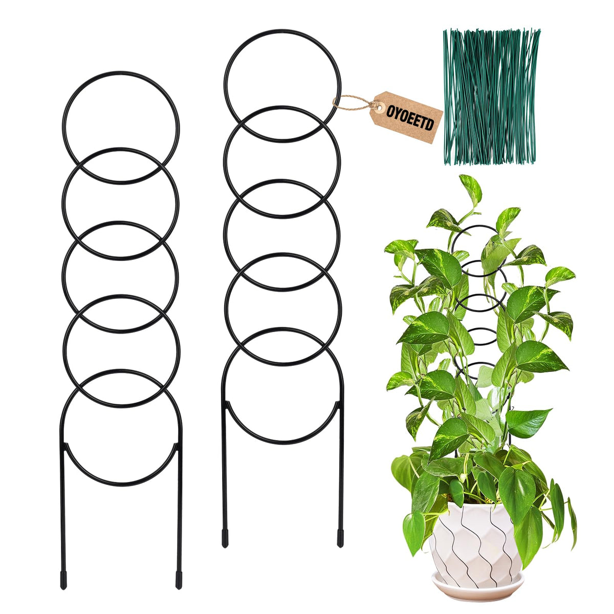OYOEETD indoor plant trellis two-pack front view guides climbing plants.