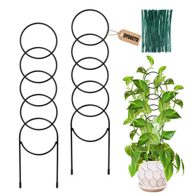 OYOEETD indoor plant trellis two-pack front view guides climbing plants.