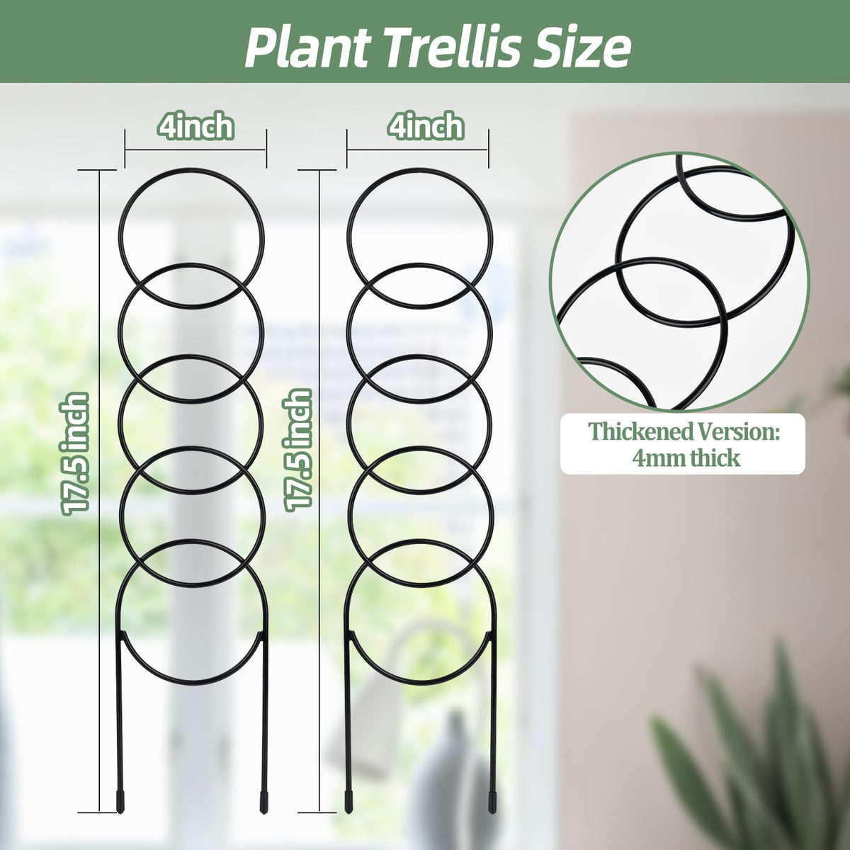 OYOEETD indoor trellis side view shows slim metal frame.
