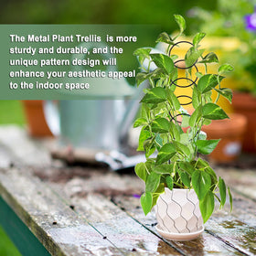 OYOEETD trellis installed in a pot demonstrates quick setup.