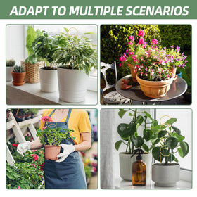 OYOEETD two-trellis pack ready for home or office plant displays.