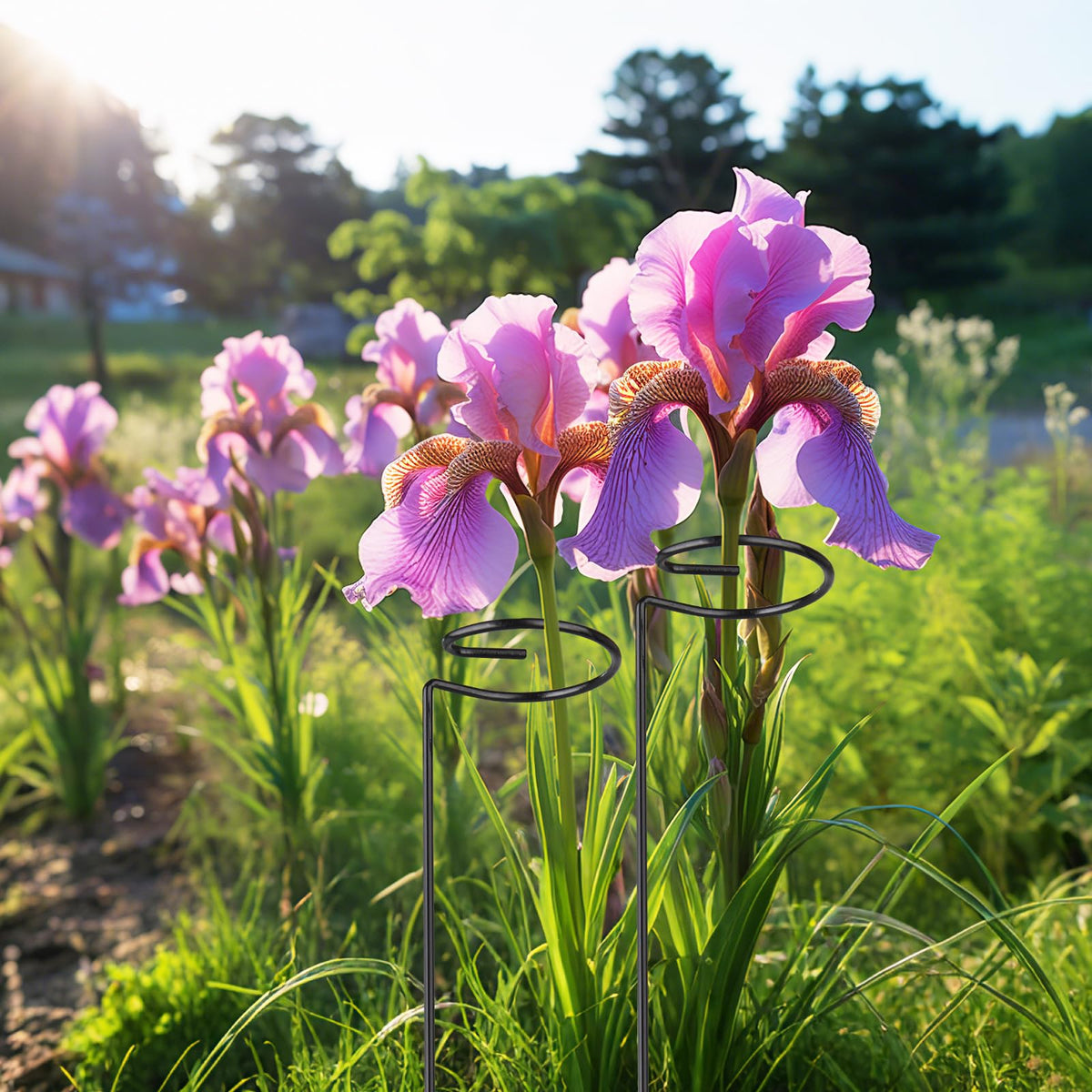 OYOEETD upright growth stake helps plants stay vertical in the garden.