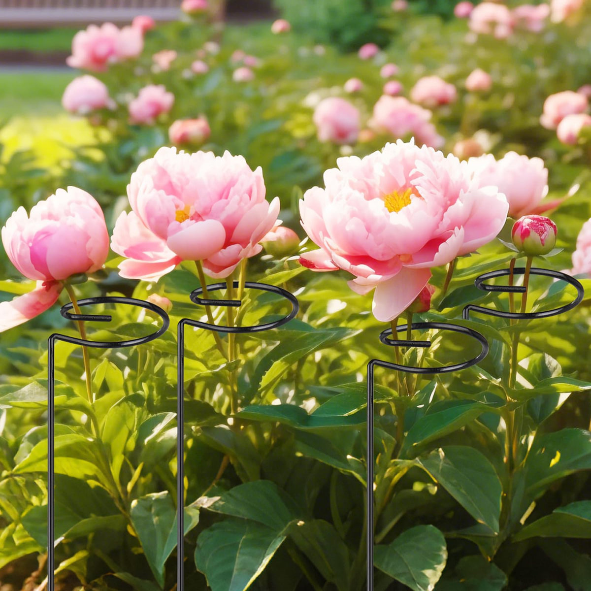 OYOEETD wind-resistant stake protects stems while displaying blooms.